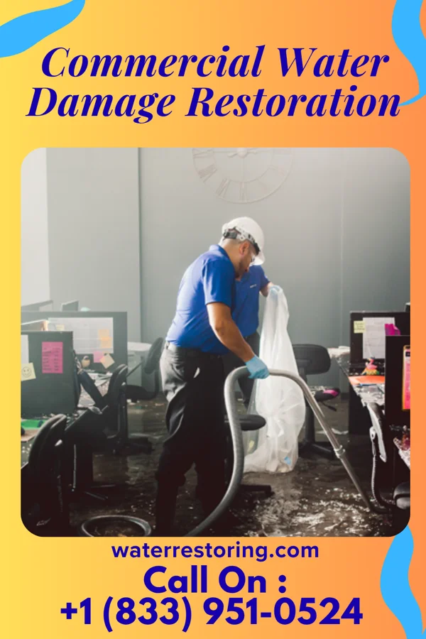 Commercial Water Damage Restoration in Wedowee, AL